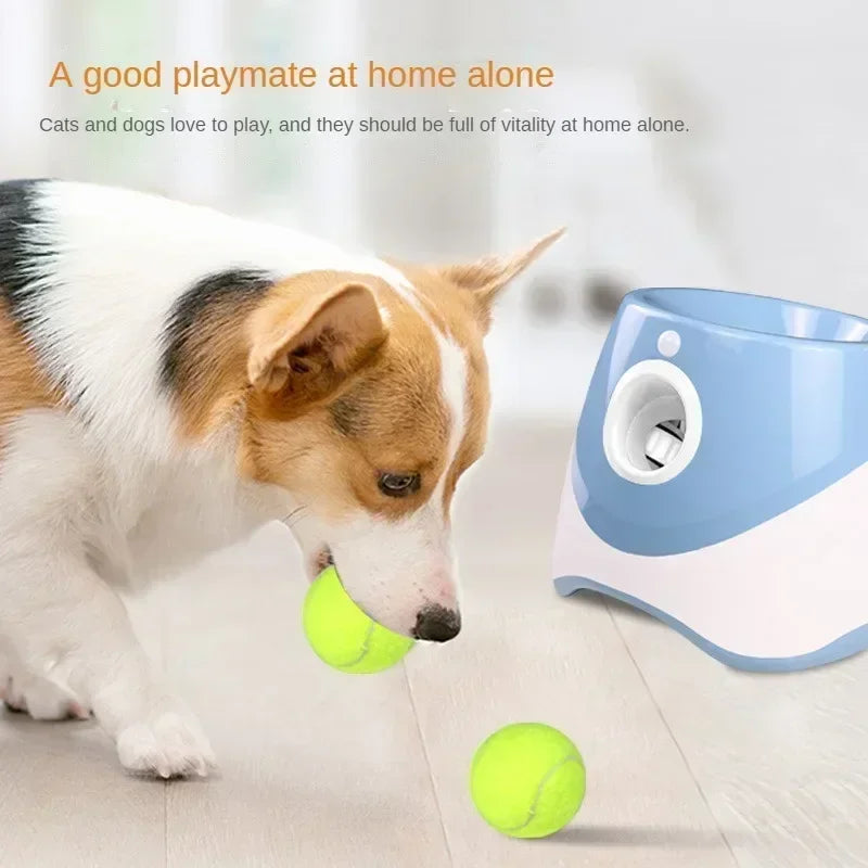 Pet Ball Launcher Device - Effortless Play & Endless Fun